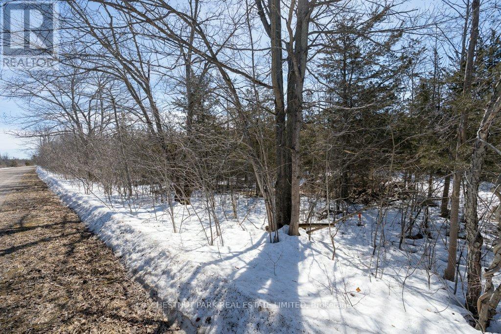 206 Simpson Road, Prince Edward County, Ontario  K0K 2P0 - Photo 25 - X12880370