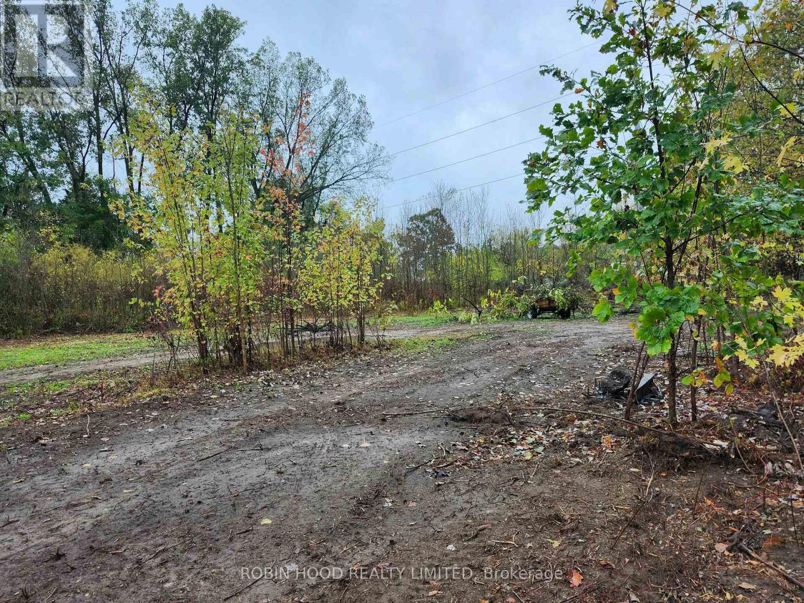 54255 Shafley Road S, Wainfleet, Ontario  L0R 2J0 - Photo 6 - X12880630