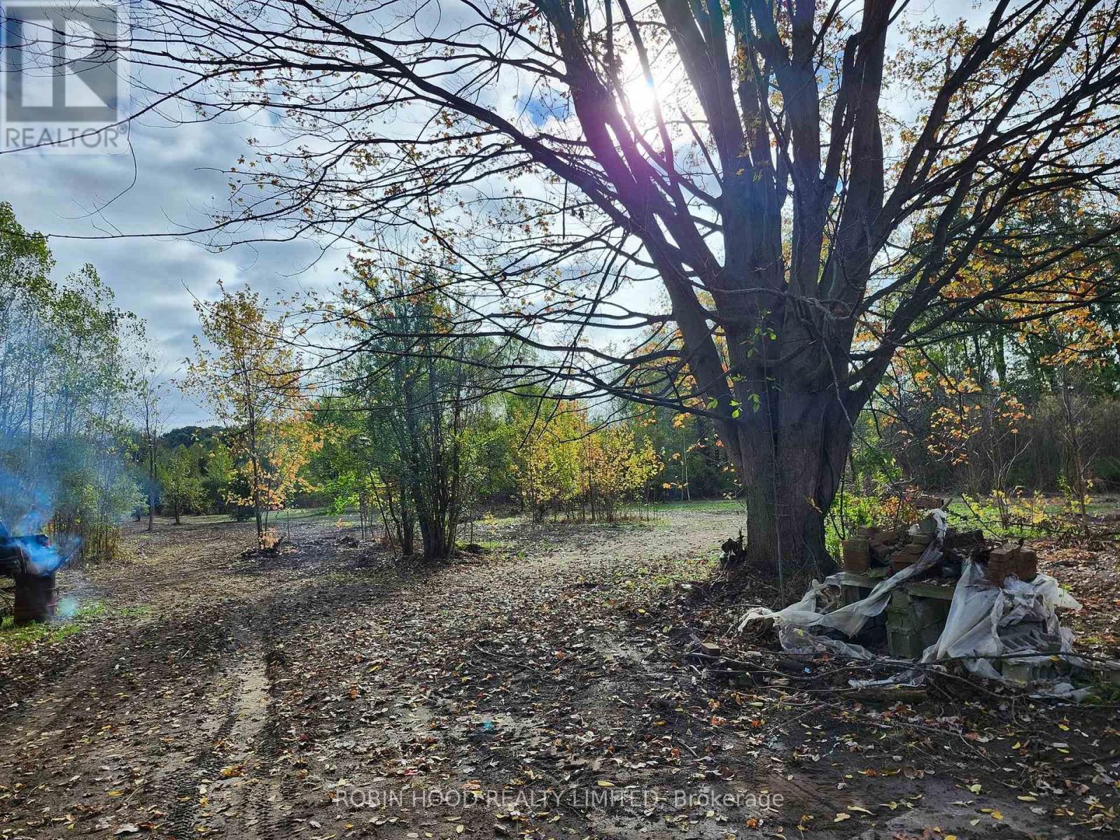 54255 Shafley Road S, Wainfleet, Ontario  L0R 2J0 - Photo 7 - X12880630