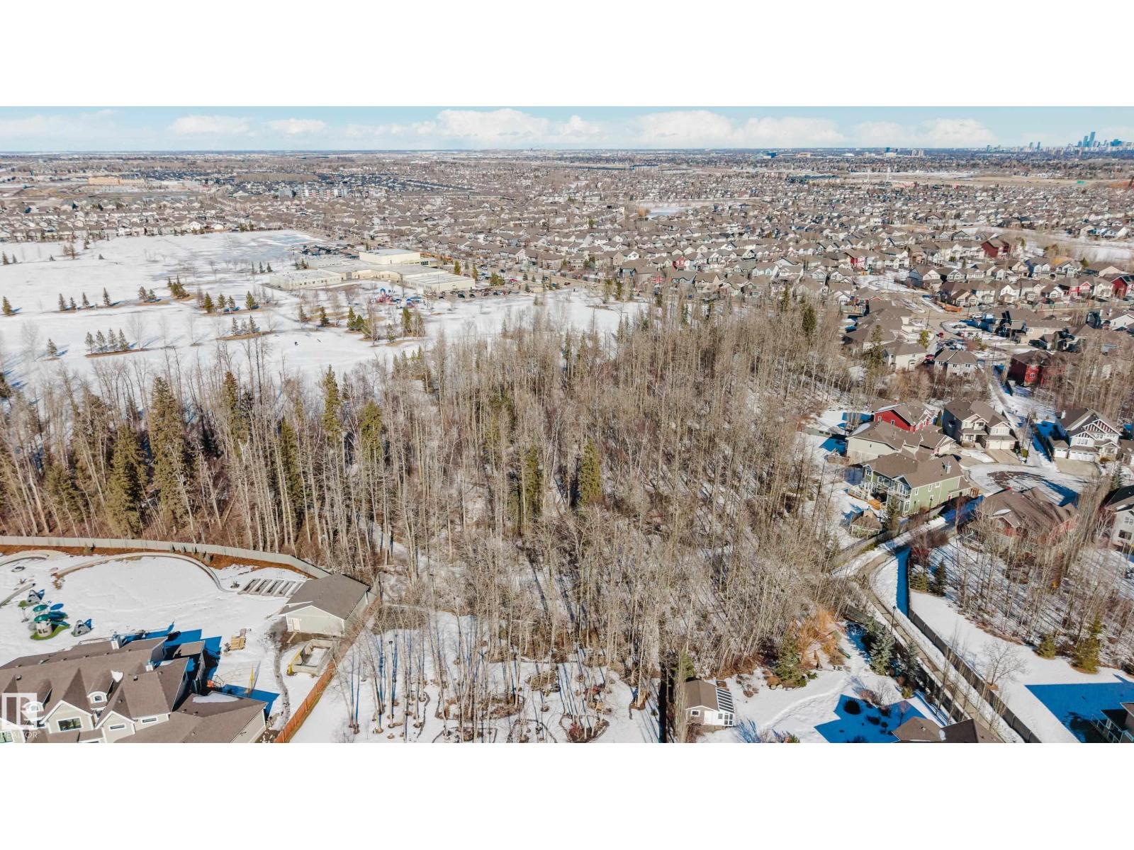 1088 Hope Rd Nw, Edmonton, Alberta  T6M 0G6 - Photo 64 - E4477045