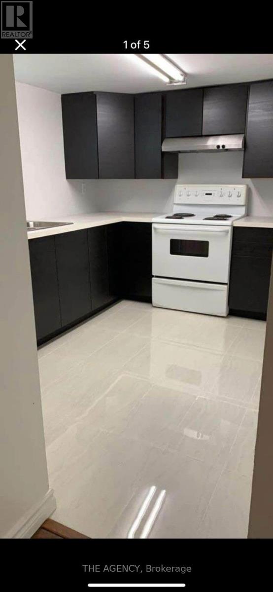 Basement - 54 Peace Drive, Toronto, Ontario  M1G 2V4 - Photo 4 - E12880758