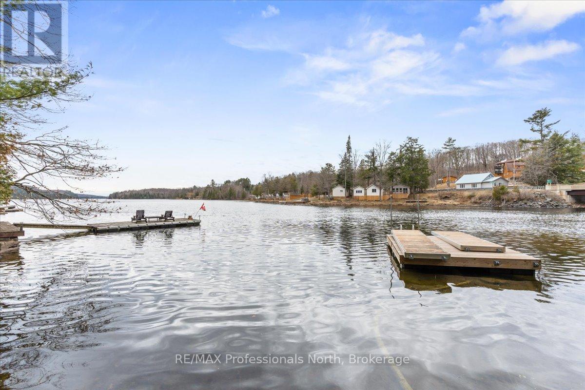 1032 Parallel Falls Lane, Minden Hills, Ontario  K0M 2K0 - Photo 3 - X12880874