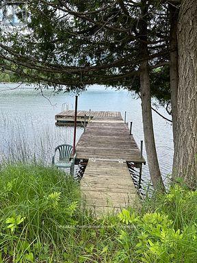 1981 Horseshoe Lake Road, Minden Hills, Ontario  K0M 2K0 - Photo 22 - X12880950