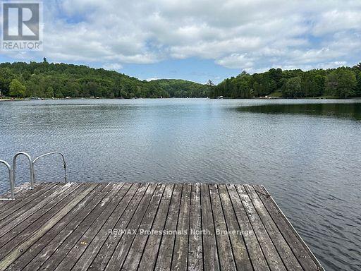 1981 Horseshoe Lake Road, Minden Hills, Ontario  K0M 2K0 - Photo 40 - X12880950