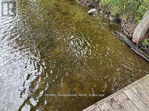 1981 Horseshoe Lake Road, Minden Hills, Ontario  K0M 2K0 - Photo 44 - X12880950