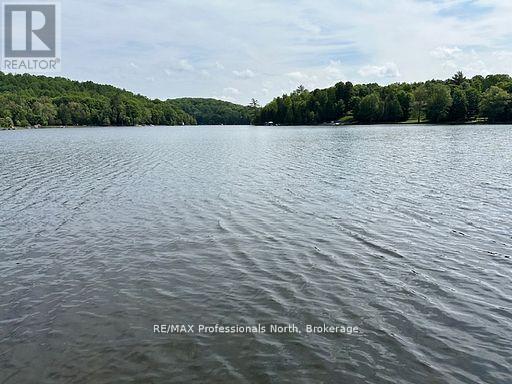 1981 Horseshoe Lake Road, Minden Hills, Ontario  K0M 2K0 - Photo 47 - X12880950