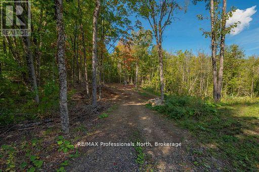 1677 Hospitality Road, Minden Hills (Snowdon), Ontario  K0M 2K0 - Photo 5 - X12880968