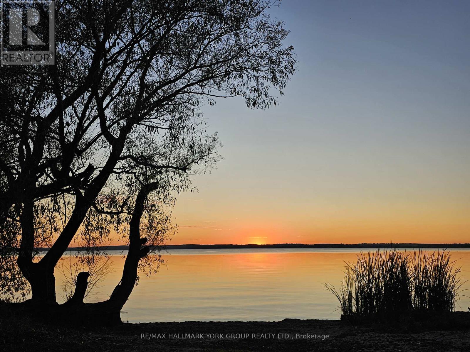 200 Spring Road, Georgina (Keswick North), Ontario  L4P 2K9 - Photo 13 - N12880850
