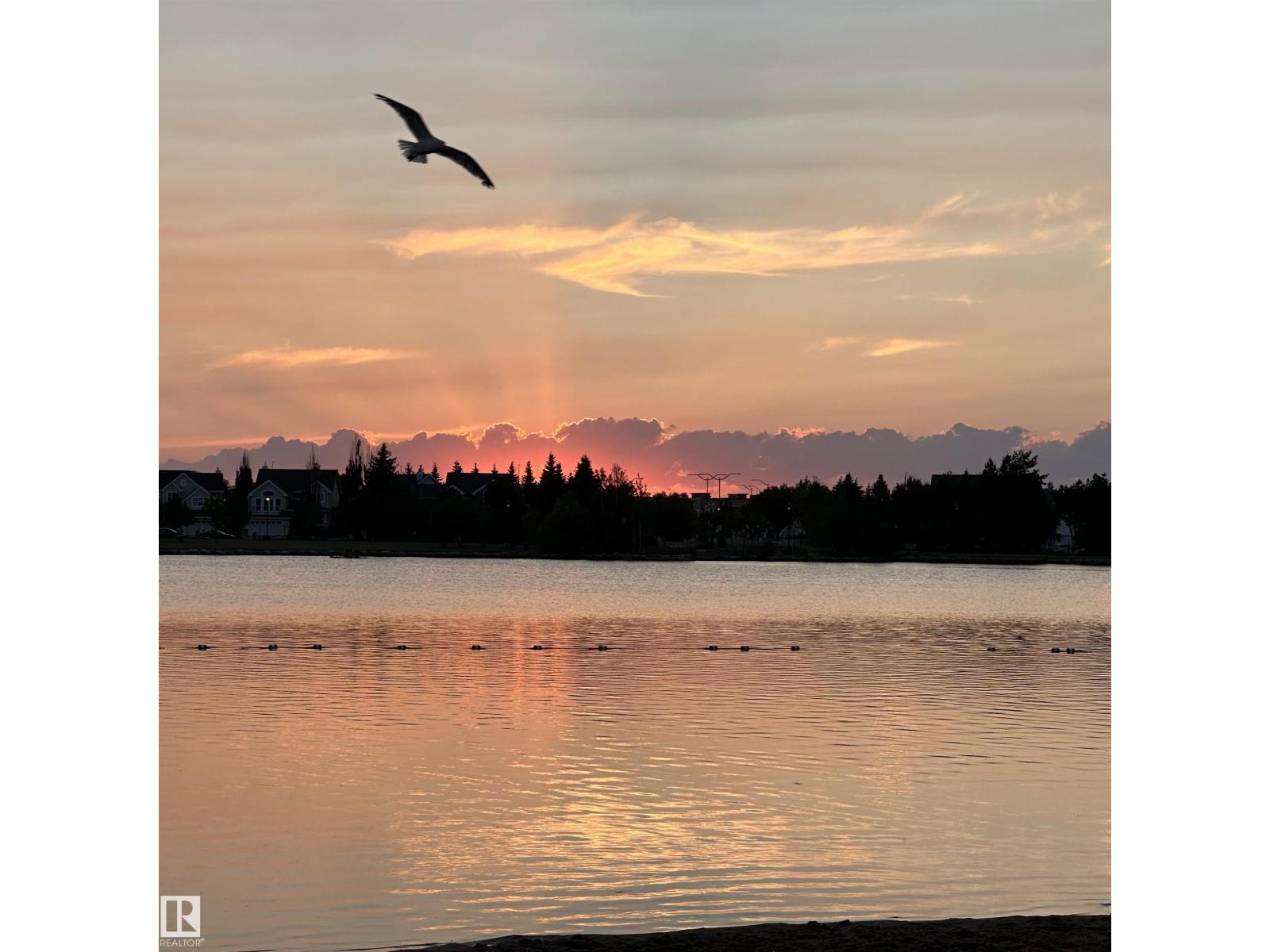 #74 4050 Savaryn Dr Sw, Edmonton, Alberta  T6X 1R8 - Photo 56 - E4477343