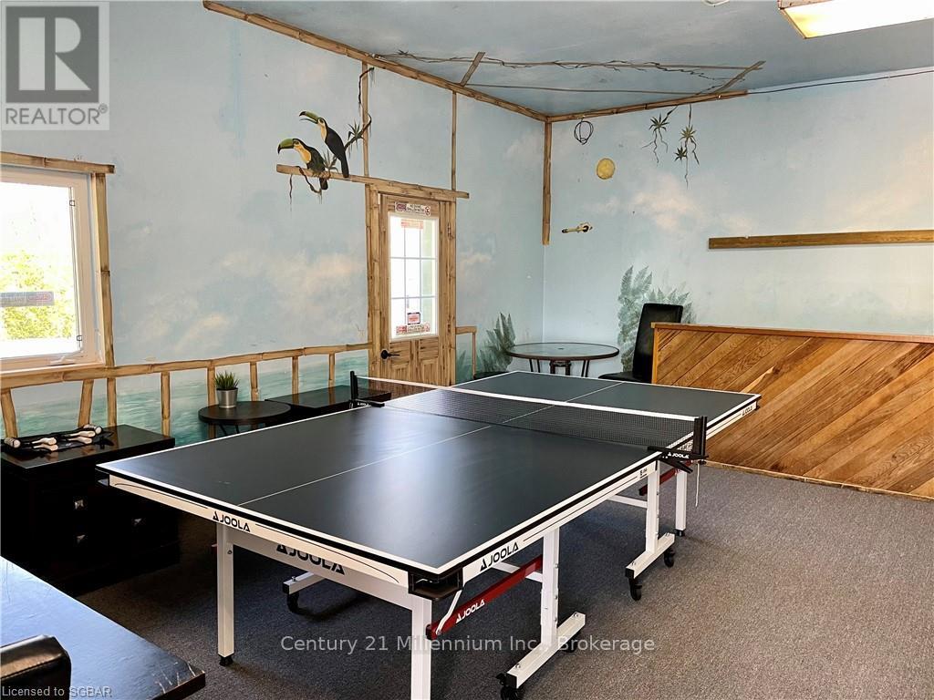 102 Liisa's Lane, Blue Mountains, Ontario  L9Y 3Z2 - Photo 42 - X12881190