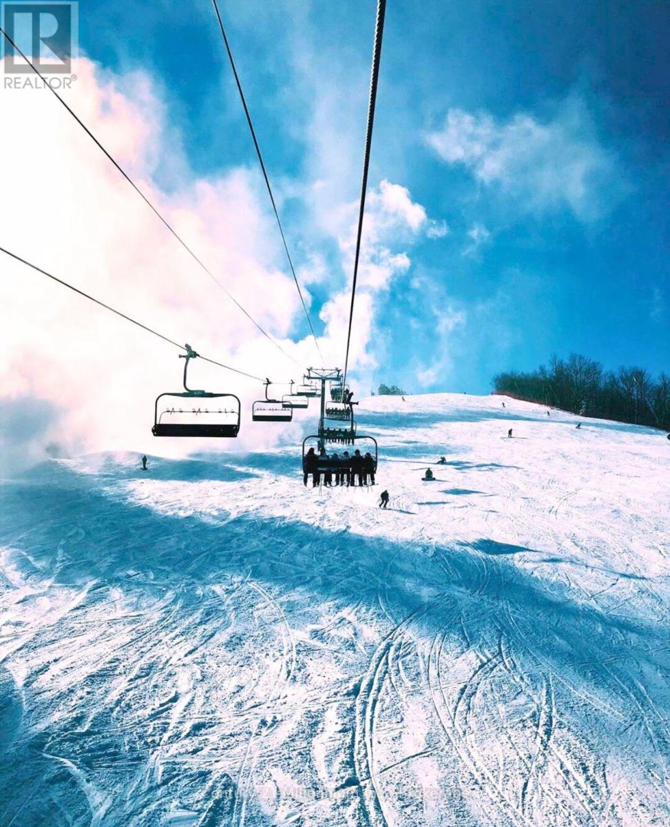 102 Liisa's Lane, Blue Mountains, Ontario  L9Y 3Z2 - Photo 49 - X12881190