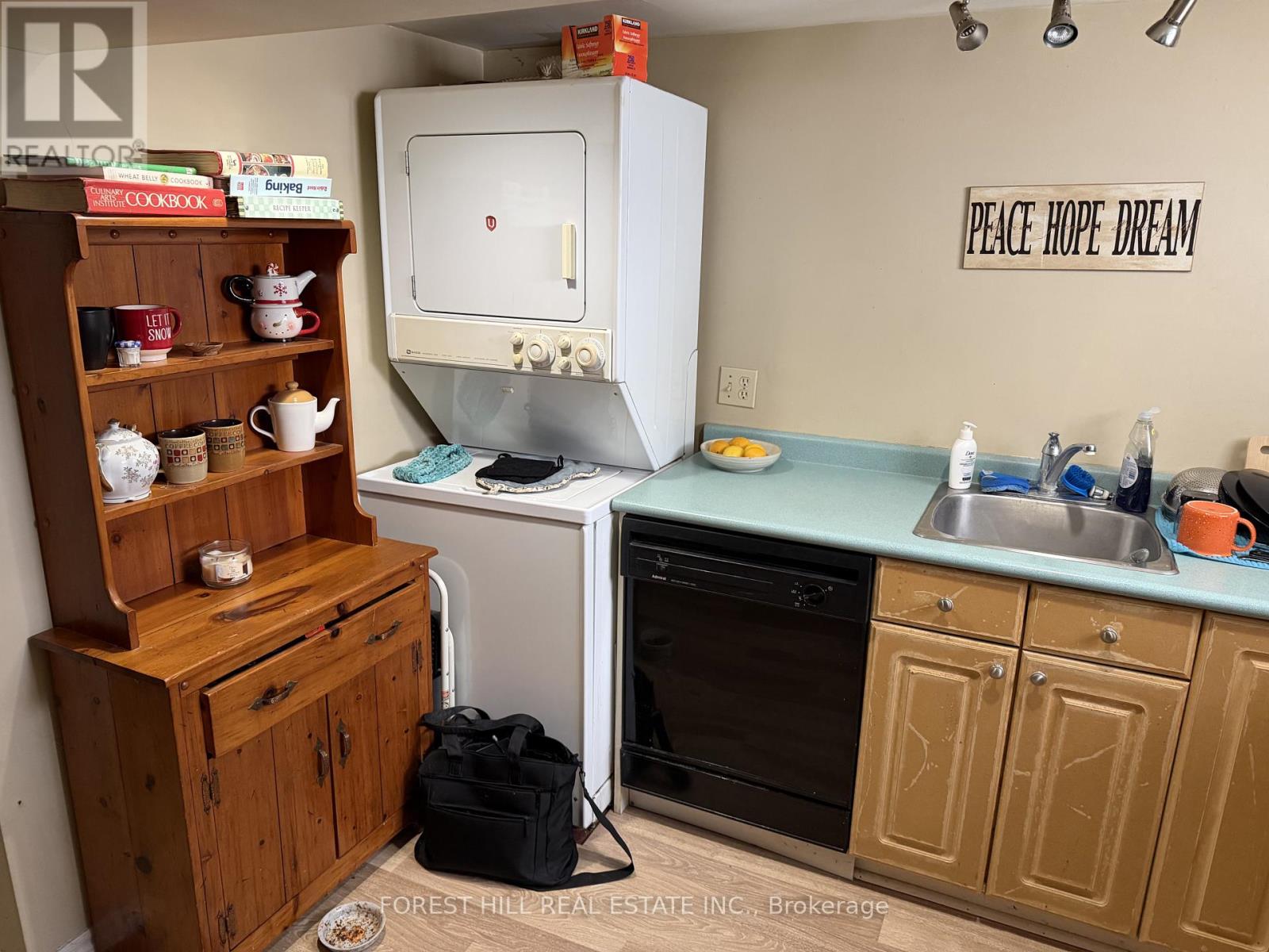 Basement - 125 Innisfil Street, Barrie (Sanford), Ontario  L4N 3E6 - Photo 3 - S12881188