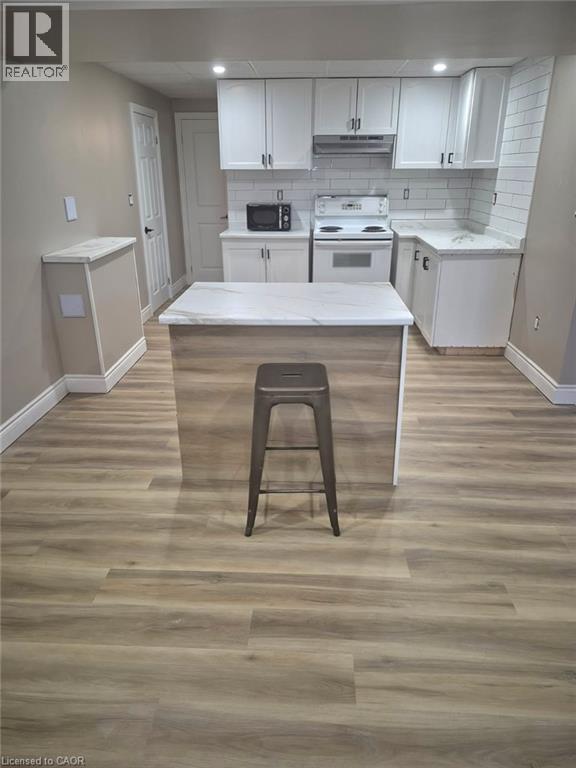 16 Hanlon Place Unit# Basement, Paris, Ontario  N3L 3E3 - Photo 2 - 40812058