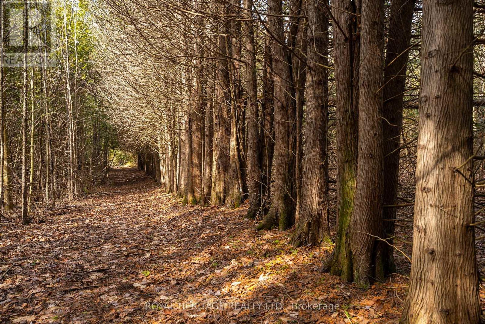 9015 Mosport Road, Clarington, Ontario  L0B 1M0 - Photo 45 - E12881218