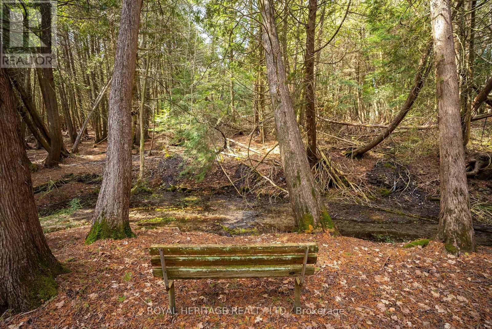 9015 Mosport Road, Clarington, Ontario  L0B 1M0 - Photo 47 - E12881218