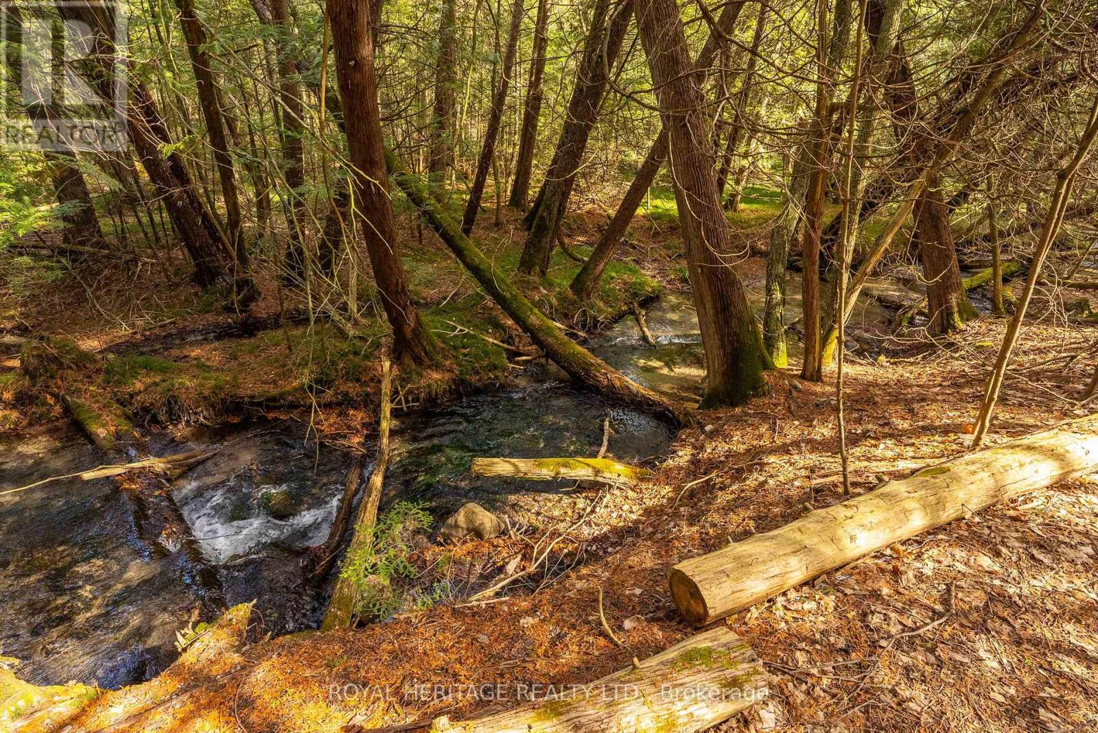 9015 Mosport Road, Clarington, Ontario  L0B 1M0 - Photo 49 - E12881218