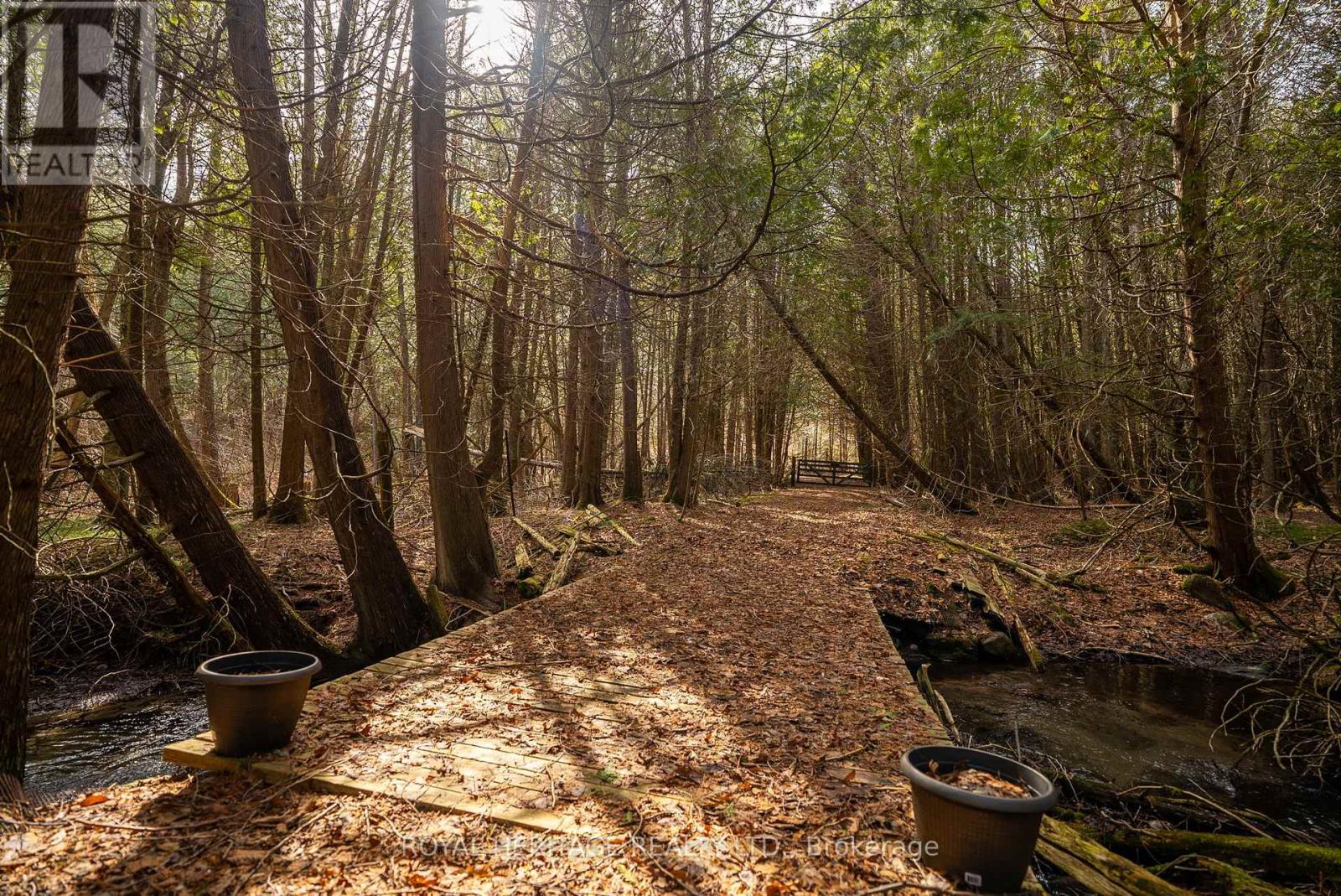 9015 Mosport Road, Clarington, Ontario  L0B 1M0 - Photo 50 - E12881218