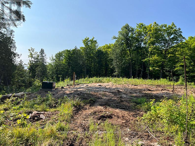 221 Fire Route 5, North Kawartha, Ontario  K0L 3E0 - Photo 12 - X12881306