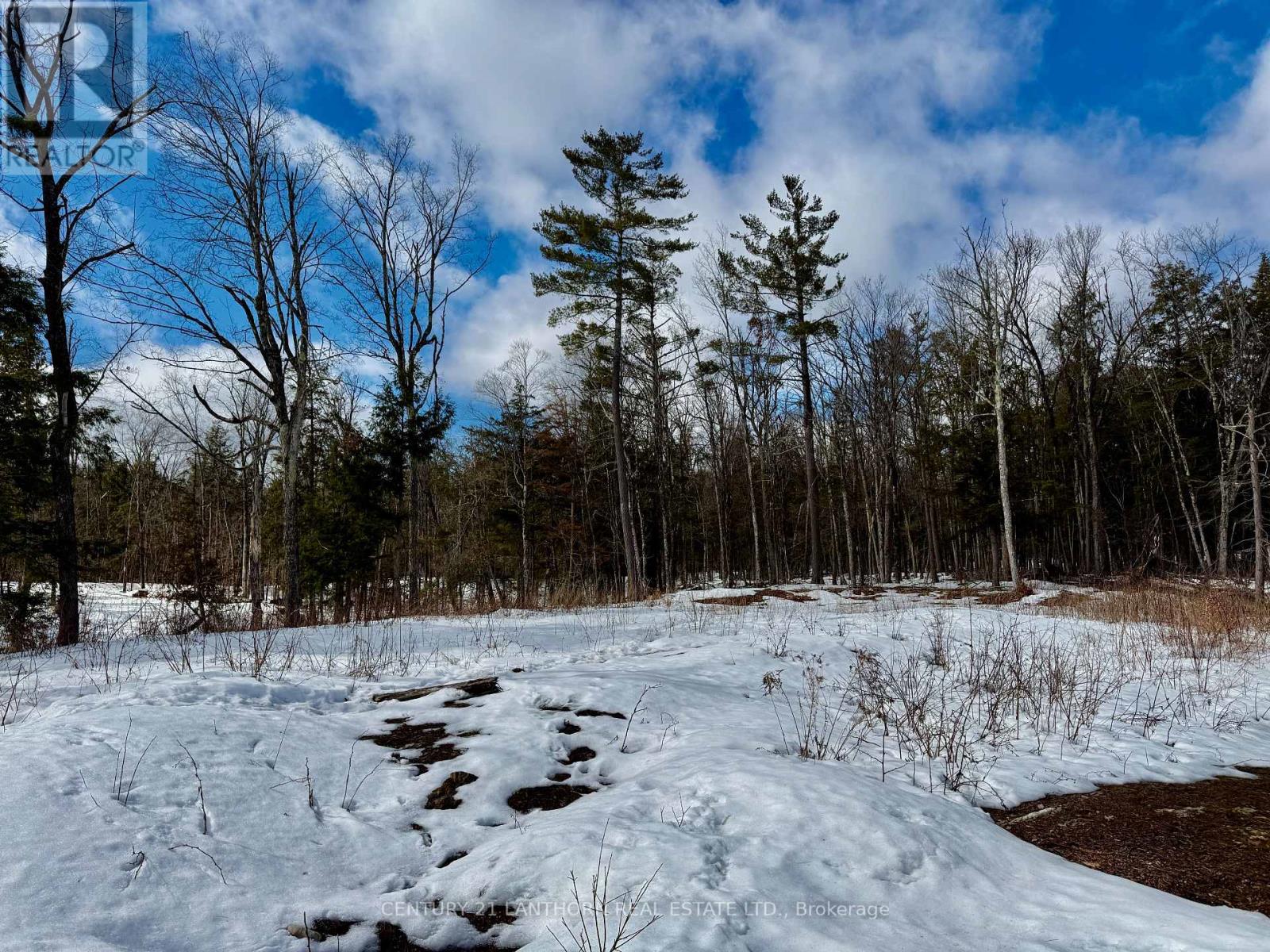 221 Fire Route 5, North Kawartha, Ontario  K0L 3E0 - Photo 23 - X12881306