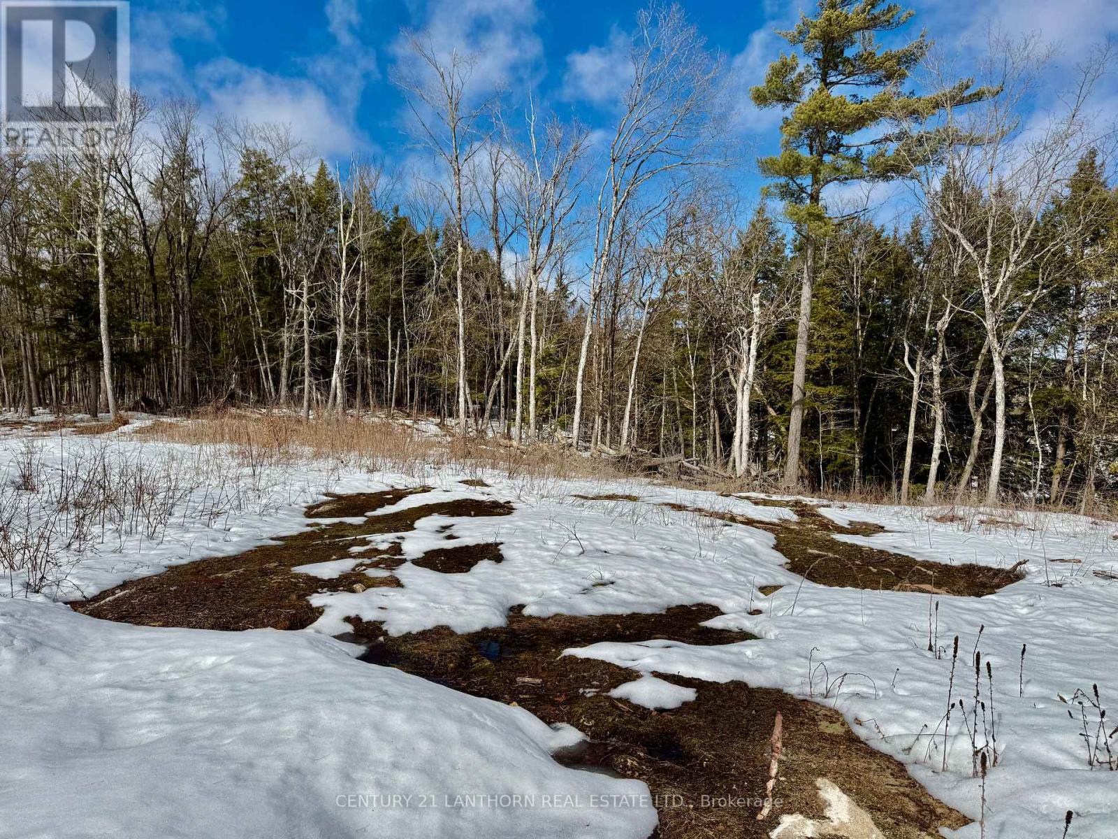 221 Fire Route 5, North Kawartha, Ontario  K0L 3E0 - Photo 24 - X12881306