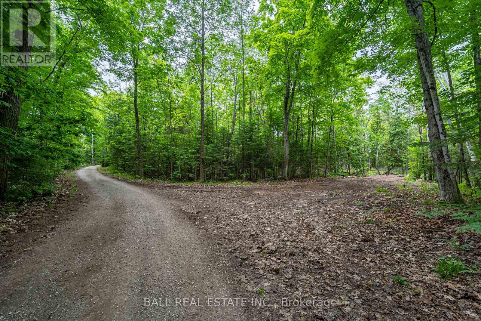 0 Mill Line Road, Trent Lakes, Ontario  K0M 1A0 - Photo 10 - X12881398