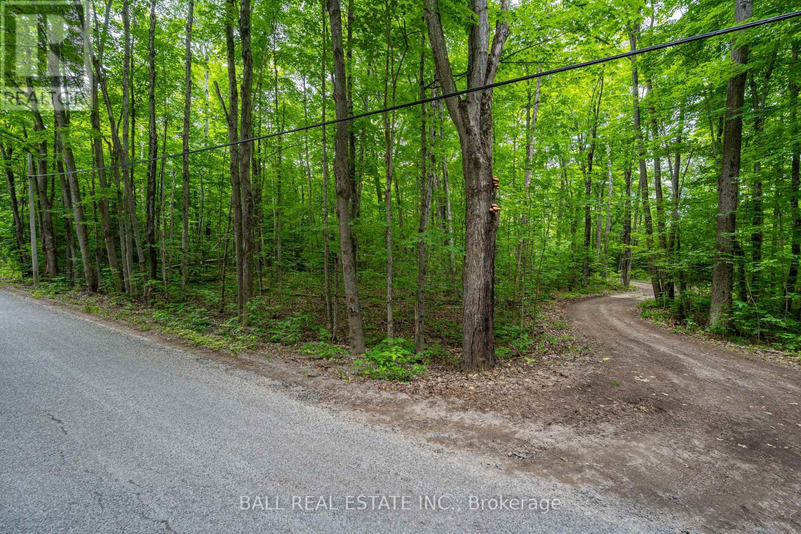 0 Mill Line Road, Trent Lakes, Ontario  K0M 1A0 - Photo 11 - X12881398