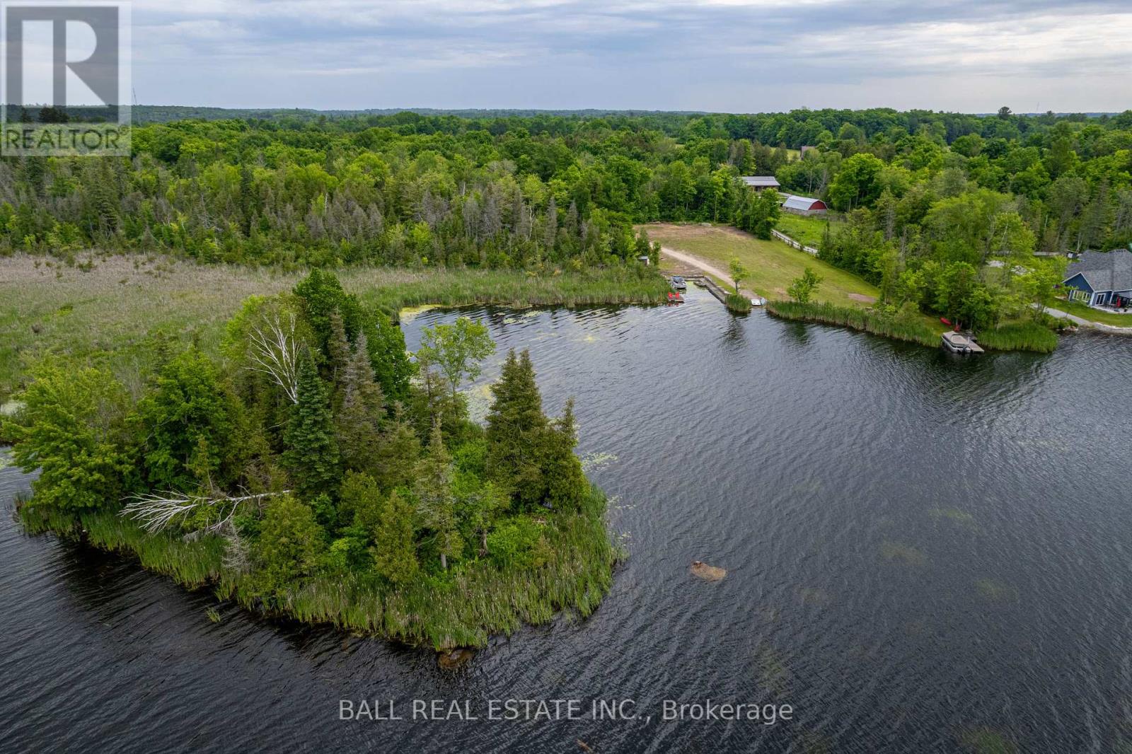 0 Mill Line Road, Trent Lakes, Ontario  K0M 1A0 - Photo 2 - X12881398