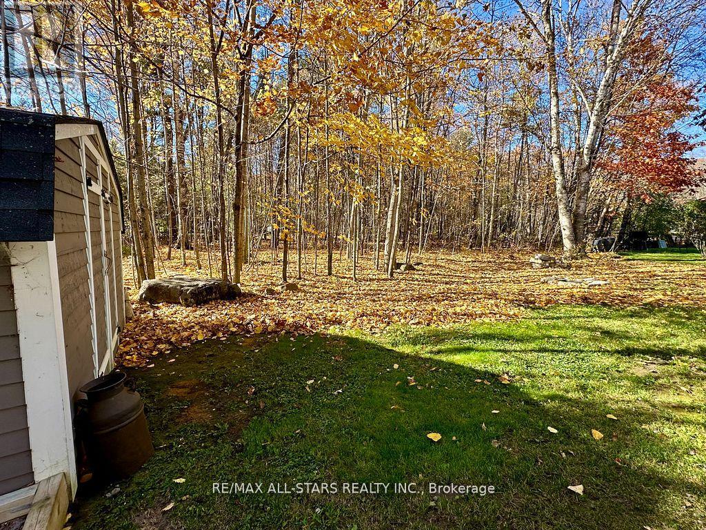 316 1/2 Riverside Drive, Kawartha Lakes, Ontario  K0M 1A0 - Photo 35 - X12881410