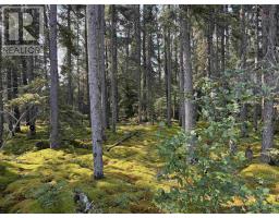 LOT 1 Kinger Road, Kenora, Ontario