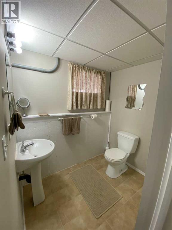 302 6 Avenue W, Bassano, Alberta  T0J 0B0 - Photo 15 - A2293217