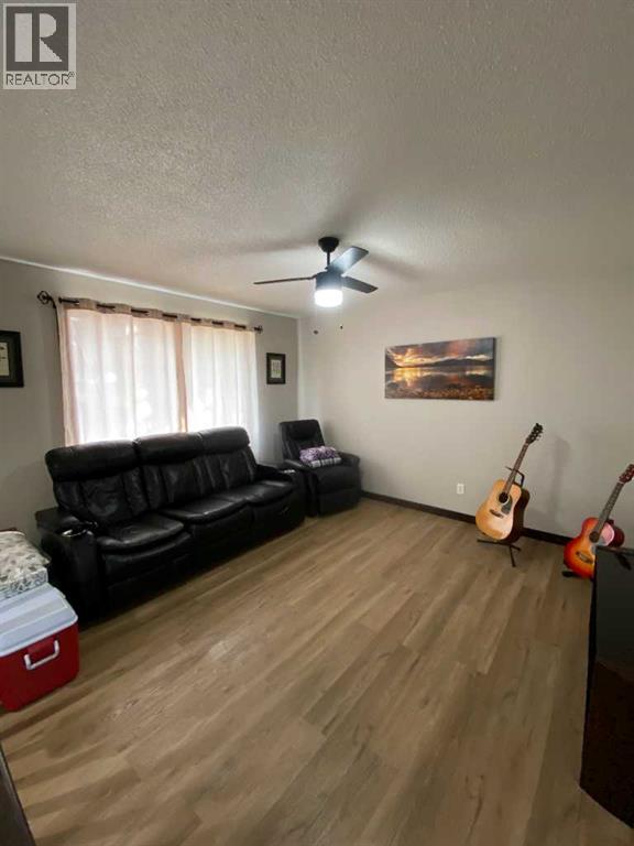 302 6 Avenue W, Bassano, Alberta  T0J 0B0 - Photo 8 - A2293217