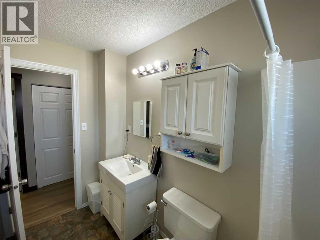 302 6 Avenue W, Bassano, Alberta  T0J 0B0 - Photo 12 - A2293217