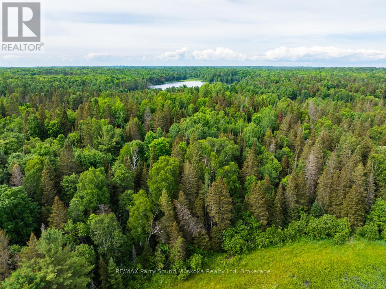 7281b Highway 124, Magnetawan, Ontario  P0G 1G0 - Photo 15 - X12873982