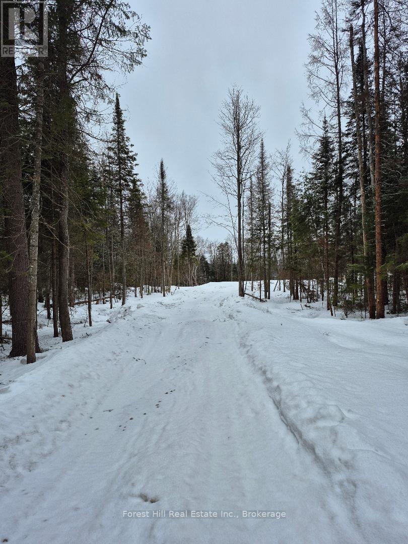 221 Woodland Drive, Mcmurrich/monteith, Ontario  P0A 1Y0 - Photo 2 - X12870432