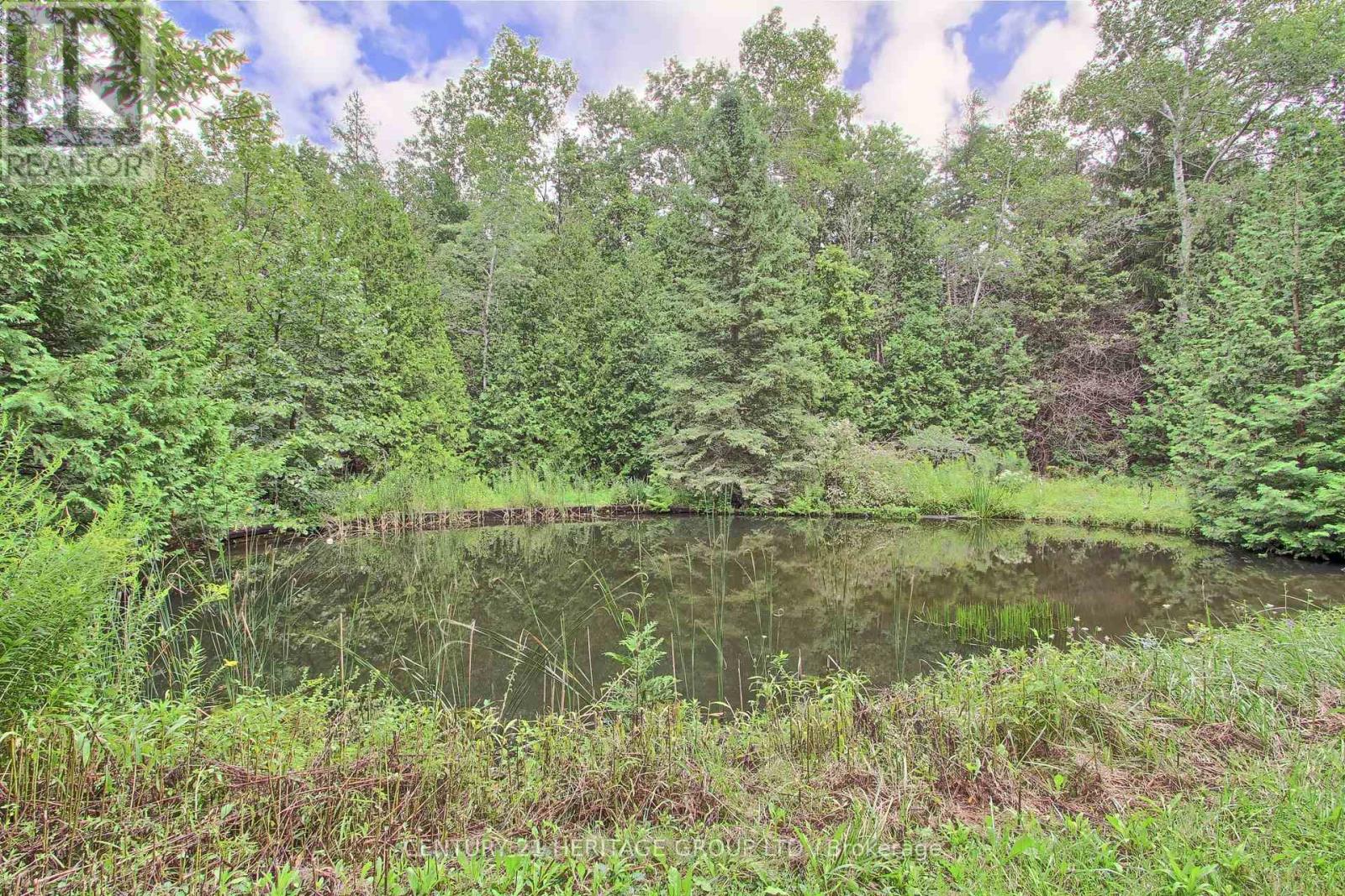 7670 19th Side Road, King, Ontario  L0G 1T0 - Photo 8 - N12873532