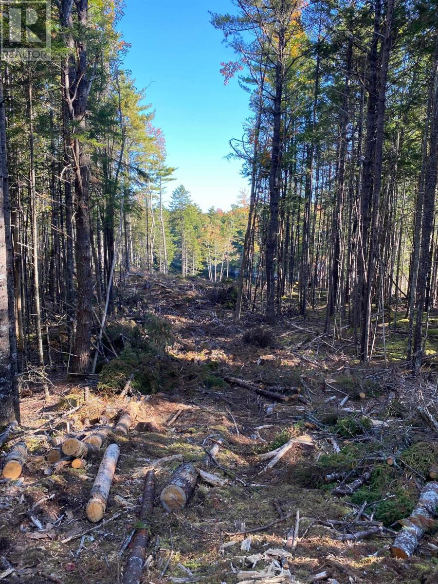Lot 2 Lavender Cove Rd., Port Mouton, Nova Scotia  B0T 1T0 - Photo 10 - 202528519