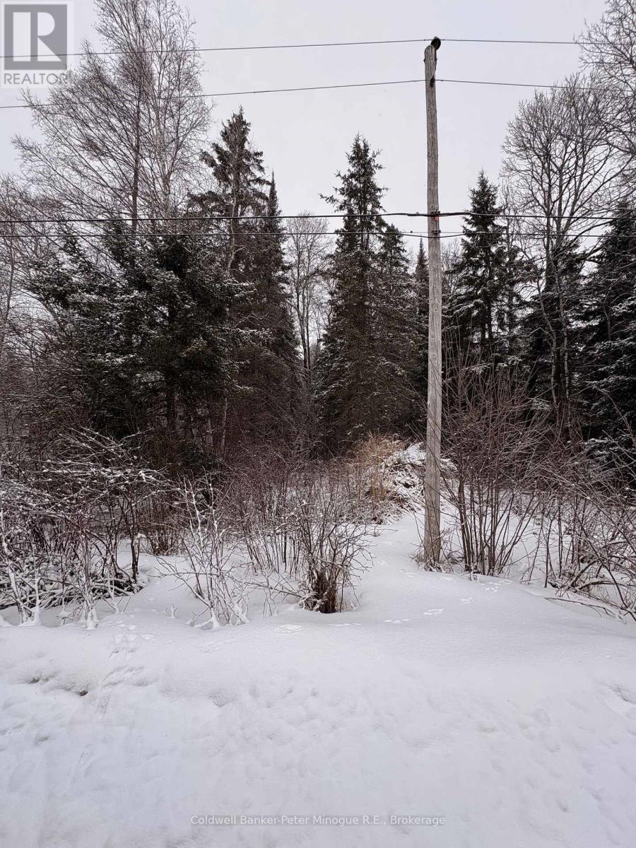 508 Sweezey Street, Powassan, Ontario  P0H 2L0 - Photo 2 - X12880048