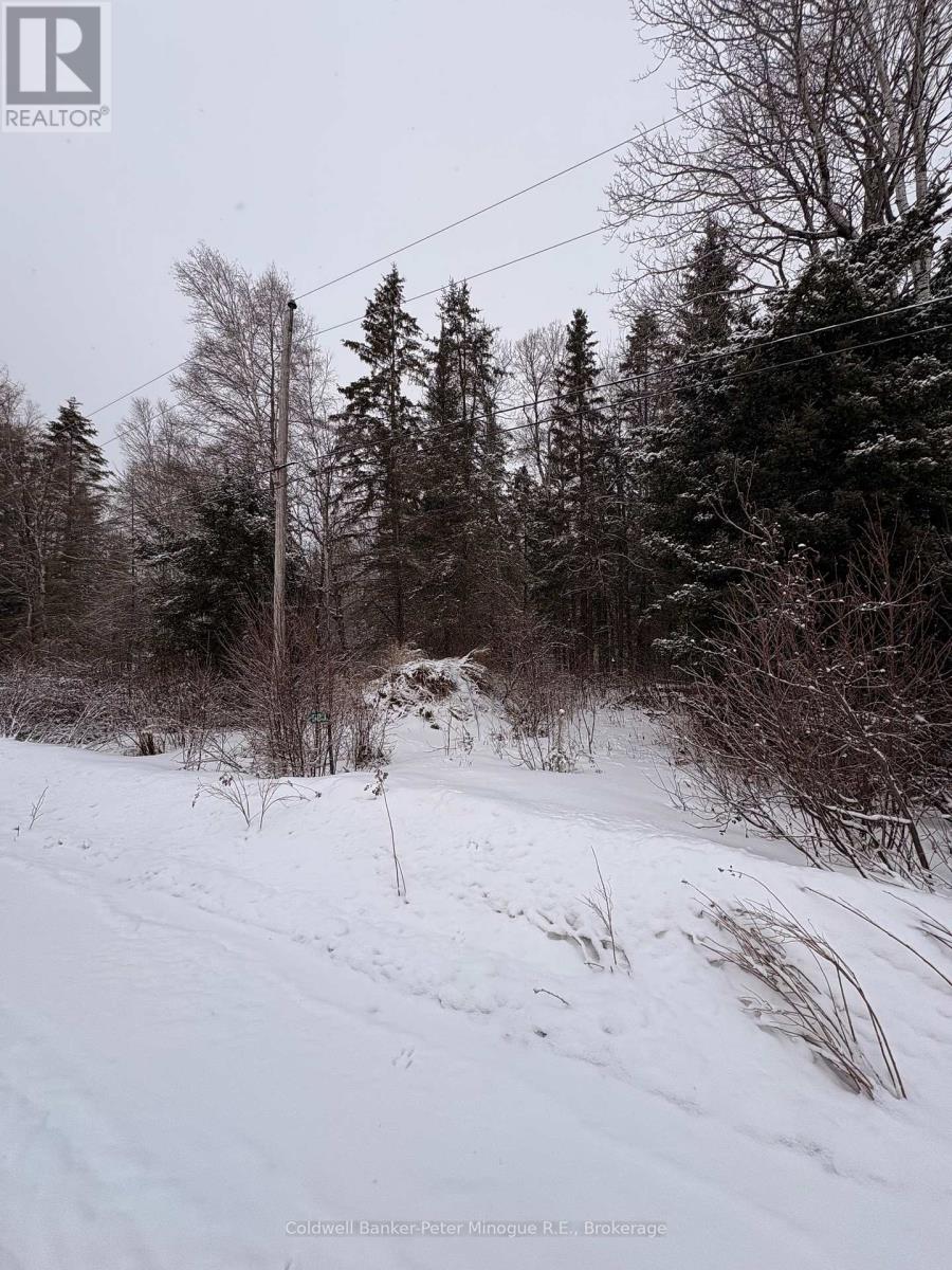 508 Sweezey Street, Powassan, Ontario  P0H 2L0 - Photo 3 - X12880048