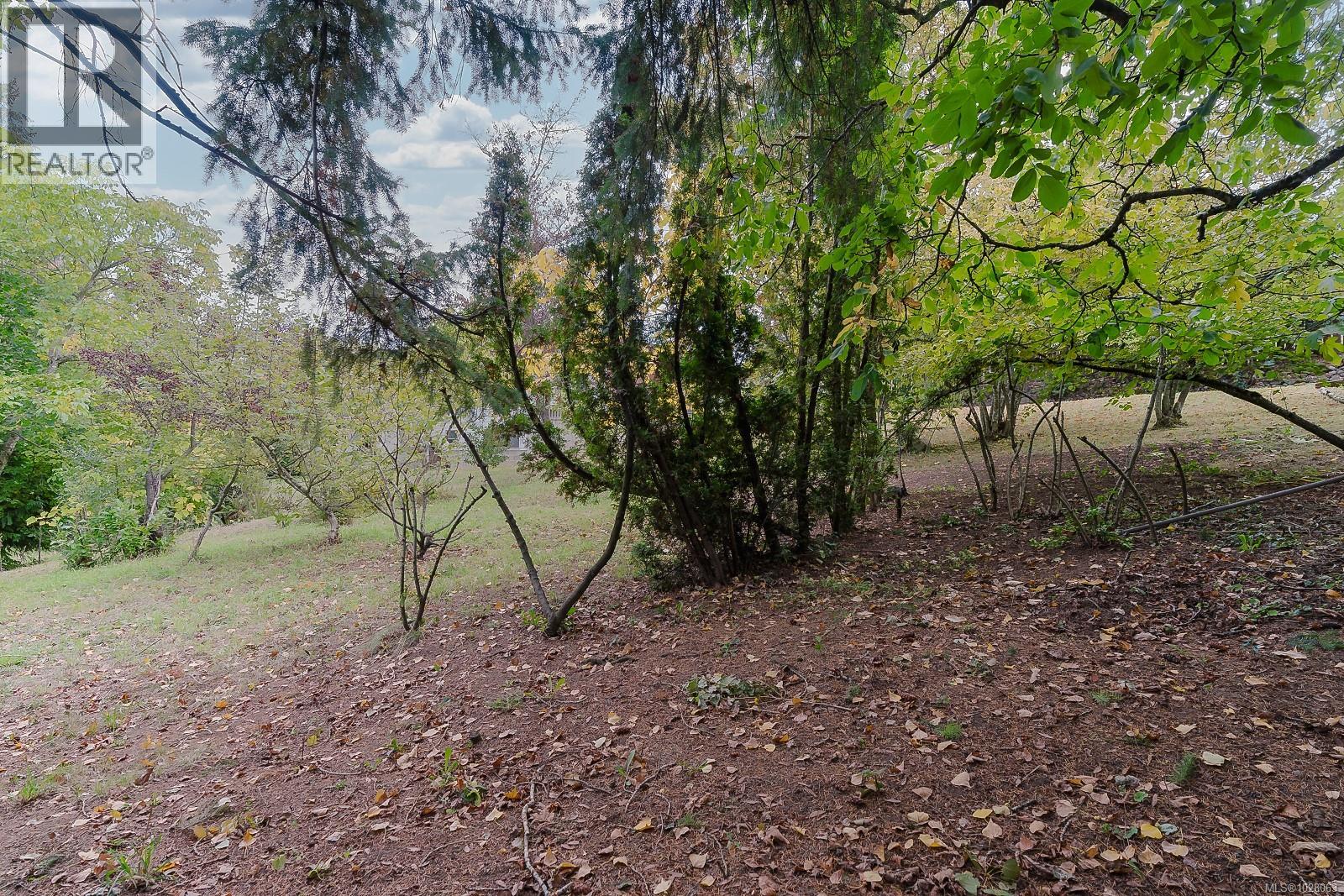 436 Wharton St, Nanaimo, British Columbia  V9R 1W4 - Photo 4 - 1028063