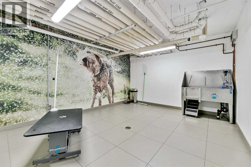 627, 88 9 Street Ne, Calgary, Alberta  T2E 4E1 - Photo 39 - A2292558