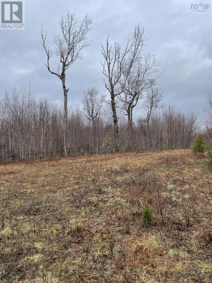Sissiboo Road, South Range, Nova Scotia B0W 3T0 - Photo 11 - 202604208