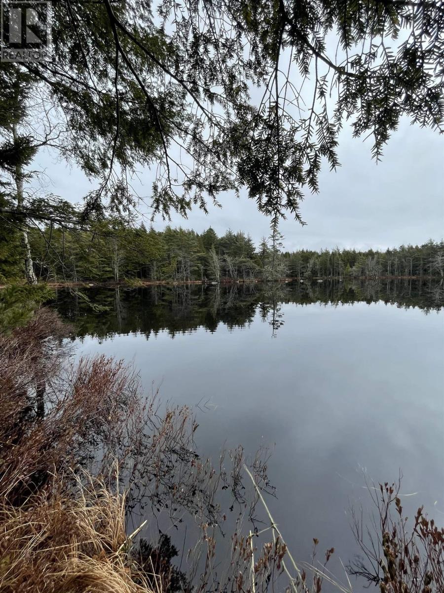 Sissiboo Road, South Range, Nova Scotia B0W 3T0 - Photo 2 - 202604208