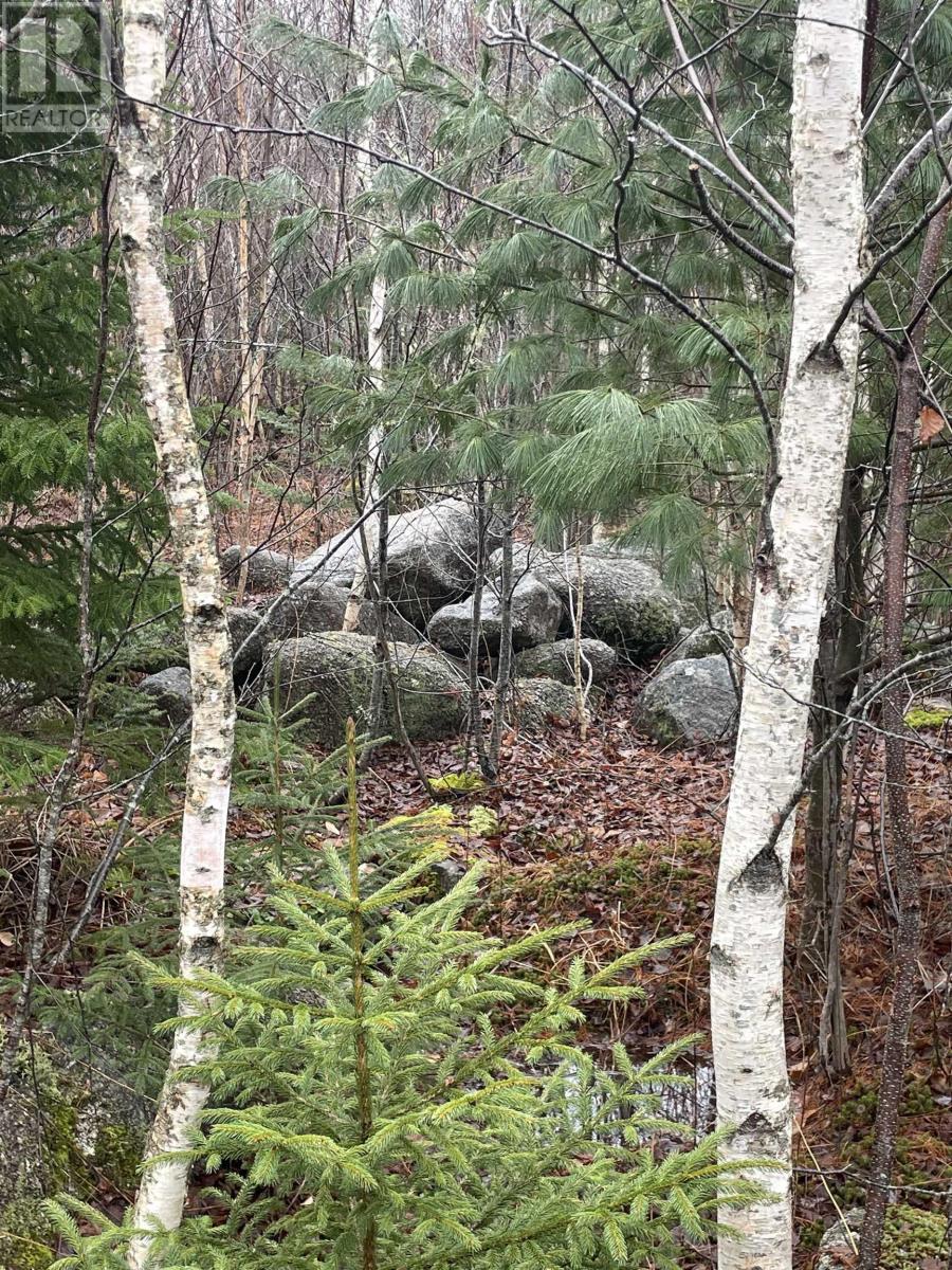 Sissiboo Road, South Range, Nova Scotia B0W 3T0 - Photo 12 - 202604208