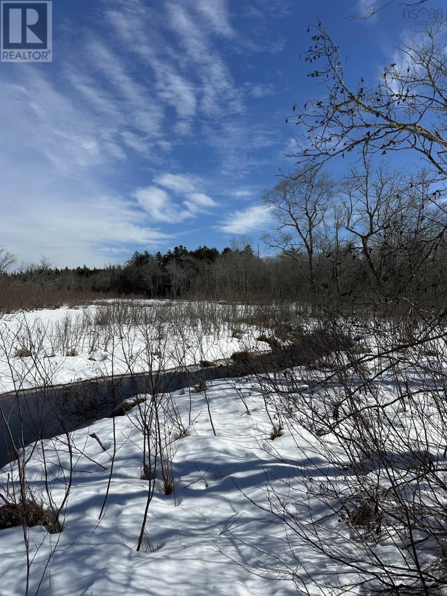 Sissiboo Road, South Range, Nova Scotia B0W 3T0 - Photo 5 - 202604208