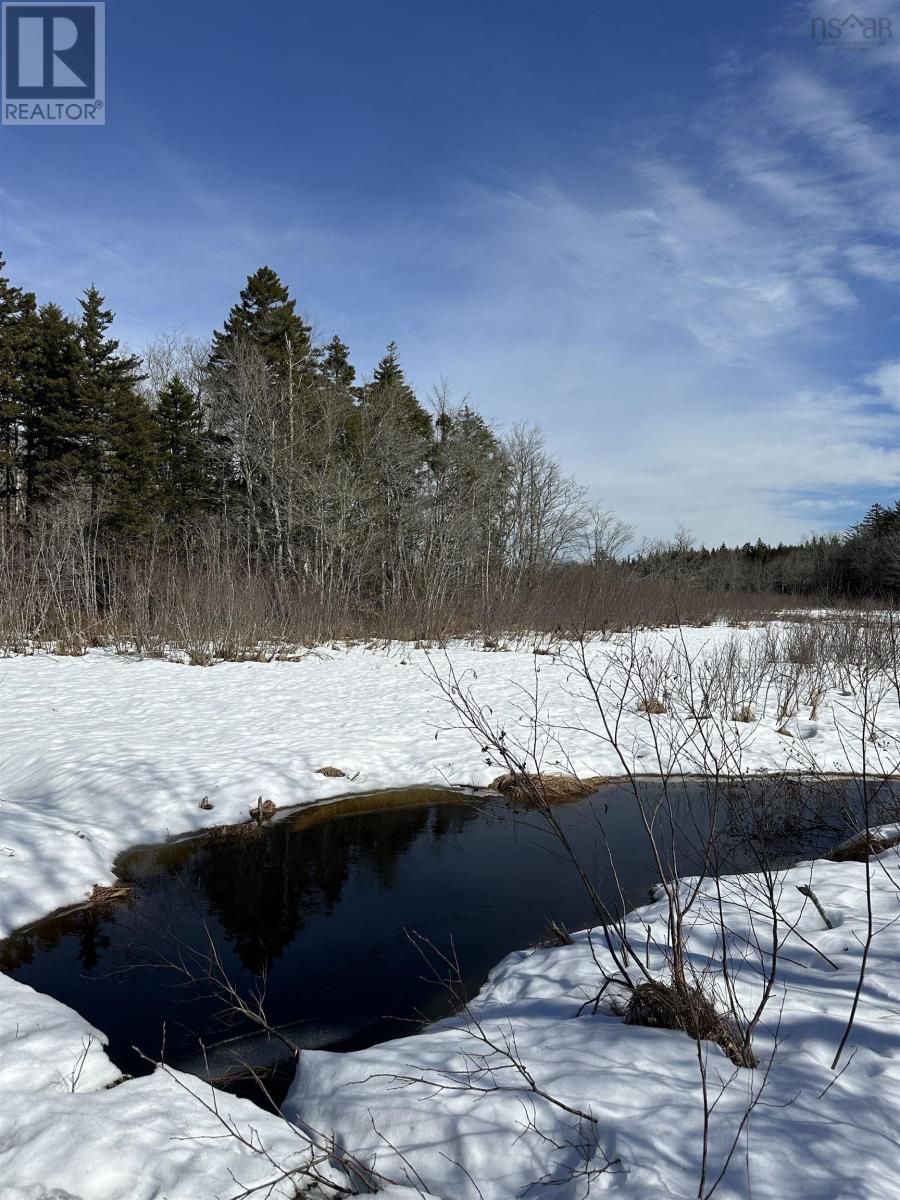 Sissiboo Road, South Range, Nova Scotia B0W 3T0 - Photo 4 - 202604208
