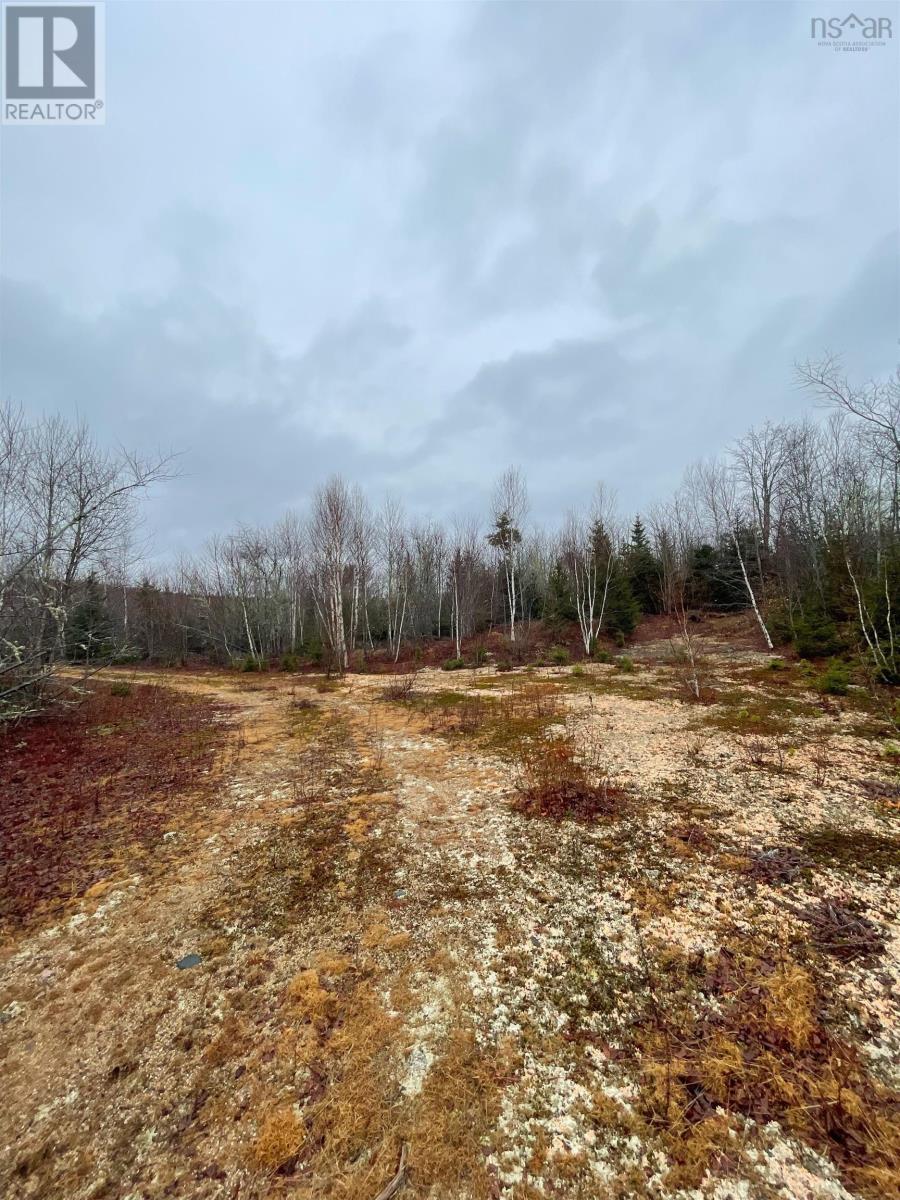 Sissiboo Road, South Range, Nova Scotia B0W 3T0 - Photo 14 - 202604208
