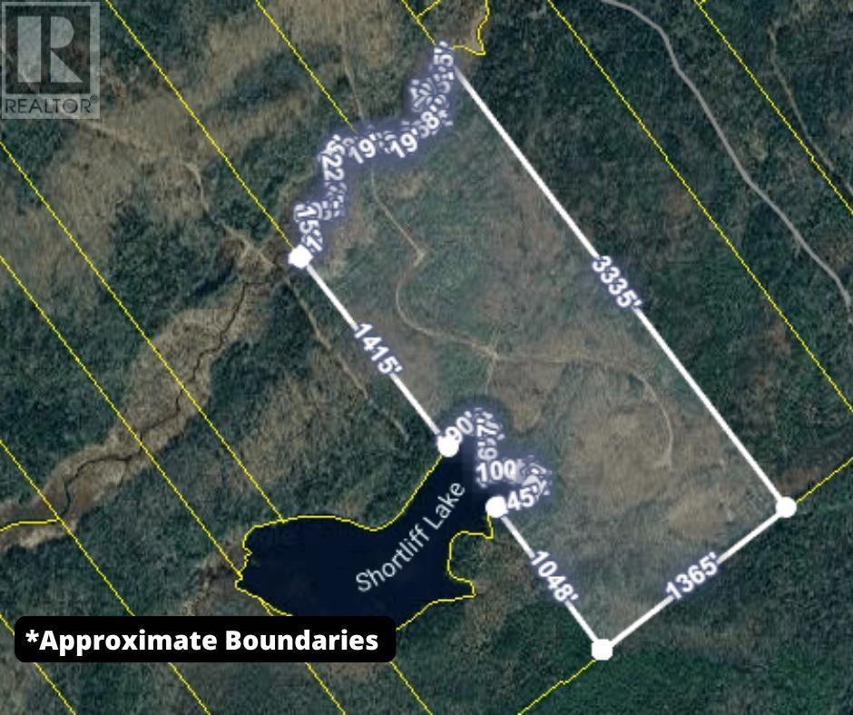 Sissiboo Road, South Range, Nova Scotia B0W 3T0 - Photo 9 - 202604208