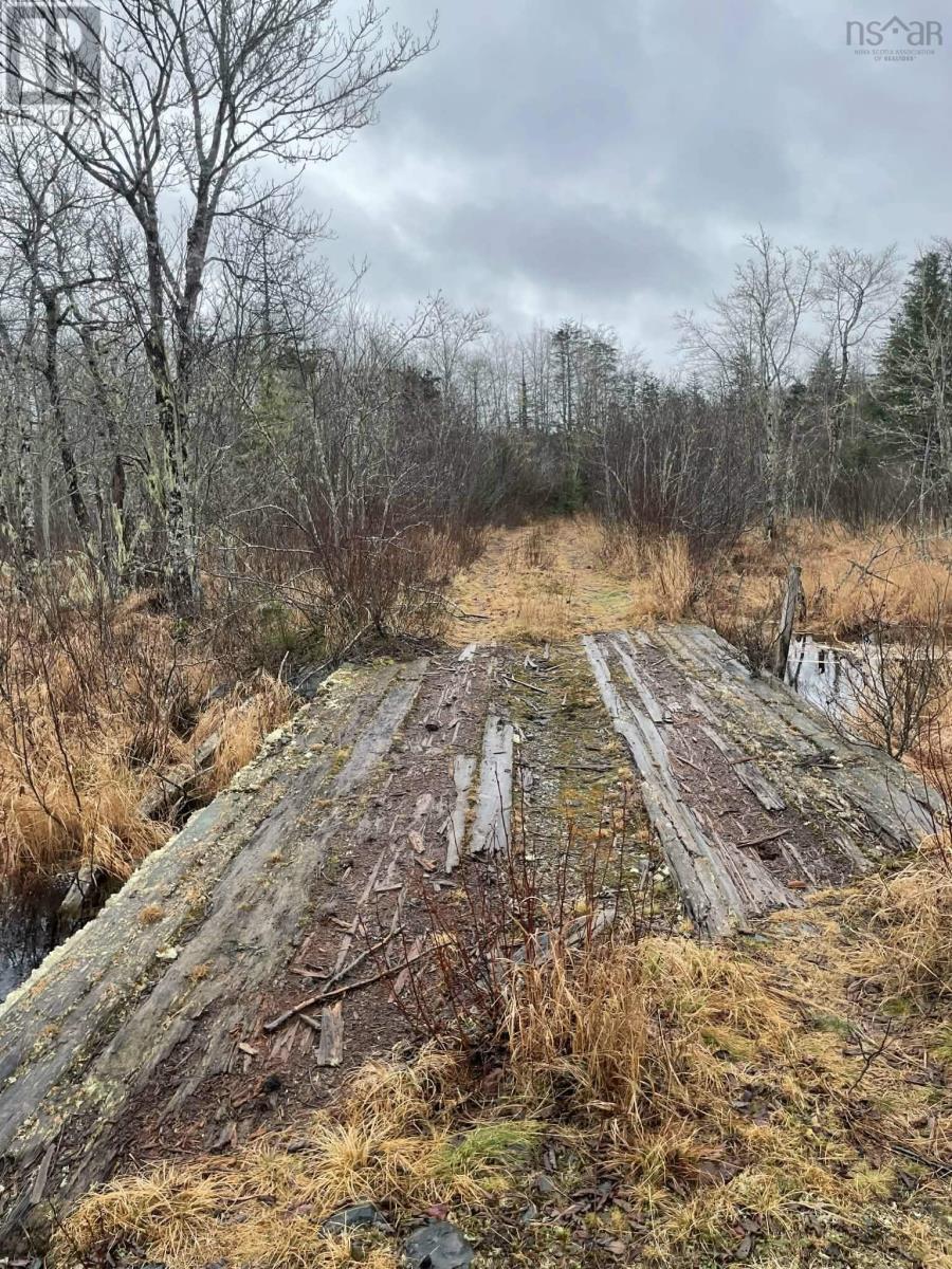 Sissiboo Road, South Range, Nova Scotia B0W 3T0 - Photo 7 - 202604208