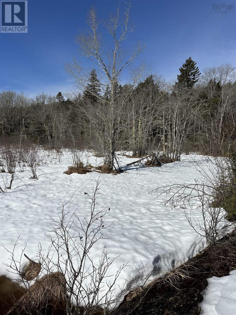 Sissiboo Road, South Range, Nova Scotia B0W 3T0 - Photo 3 - 202604208