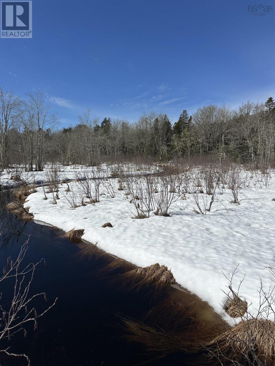 Sissiboo Road, South Range, Nova Scotia B0W 3T0 - Photo 6 - 202604208